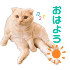 [LINEスタンプ] せんせいすたんぷ