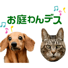 [LINEスタンプ] お庭わんラス太＆ボブ