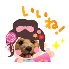 [LINEスタンプ] マルプーの七五三
