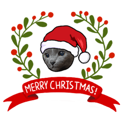 [LINEスタンプ] 猫ルキーの家族 のクリスマス(冬)