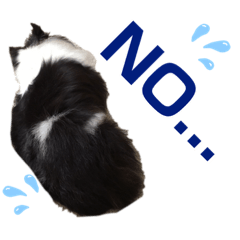 [LINEスタンプ] 愛犬シェリーちゃんだよ