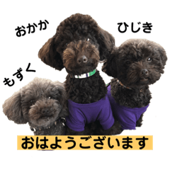 [LINEスタンプ] ひじきさんとゆかいな家族 vol.3