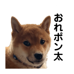 [LINEスタンプ] おれ、ぽんた