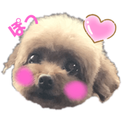 [LINEスタンプ] 我が家のあろはちゃん❷
