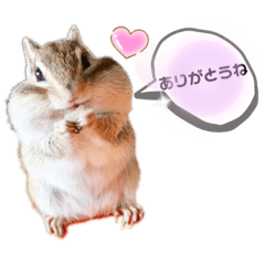 [LINEスタンプ] シマリス♡ビビ2