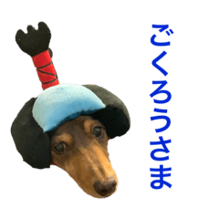 [LINEスタンプ] ミニチュアダックスりんのお仕事