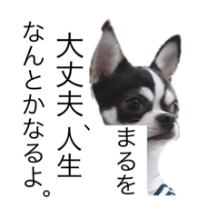 [LINEスタンプ] マールスタンプ2