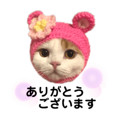 [LINEスタンプ] ねこメルちゃん3