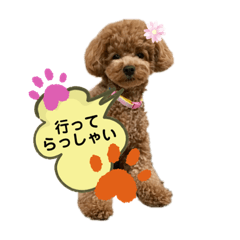 [LINEスタンプ] ペニ子☆日常ことば