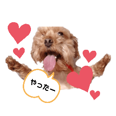 [LINEスタンプ] たんたんわんたんスタンプ2