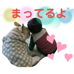 [LINEスタンプ] チビゆきスタンプ