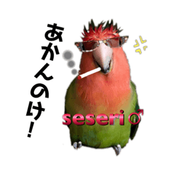[LINEスタンプ] インコのセセリ♂10