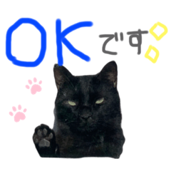 [LINEスタンプ] 吉田家のにゃんこ達2