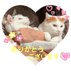 [LINEスタンプ] そらとおっぽのかわいいスタンプ