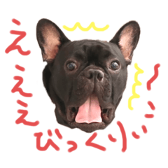 [LINEスタンプ] フレブル 大吉くんスタンプ