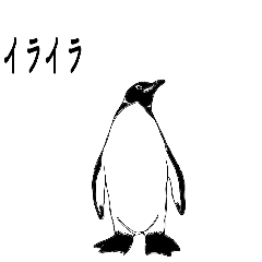 [LINEスタンプ] ペンギン ピーの画像（メイン）