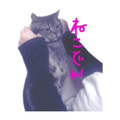 [LINEスタンプ] ゆきたろす