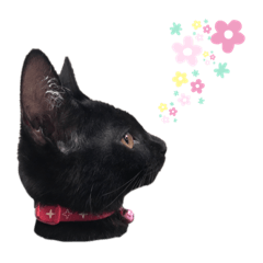 [LINEスタンプ] じじたまの日常1