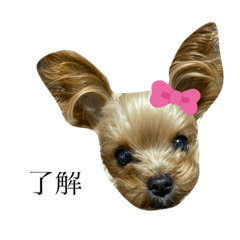[LINEスタンプ] reo②