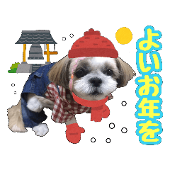 [LINEスタンプ] シーズー★めい
