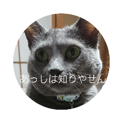 [LINEスタンプ] マリンちゃんのスタンプ2