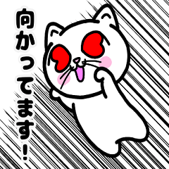 [LINEスタンプ] どれにゃん（よいどれにゃんこ） Ver.3