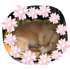 [LINEスタンプ] 20150806スタンプ