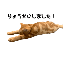[LINEスタンプ] 零音くんのスタンプ