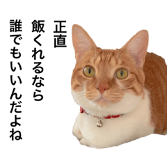 [LINEスタンプ] せるとてるだよ