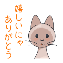 [LINEスタンプ] 猫と暮らす。