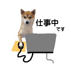 [LINEスタンプ] 柴犬 すたんぷ part2