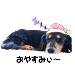 [LINEスタンプ] ちょちおスタンプ