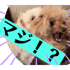[LINEスタンプ] まろわた4