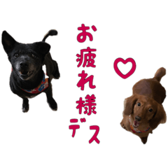 [LINEスタンプ] ちびブース2