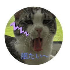 [LINEスタンプ] 可愛い小麦ちゃん