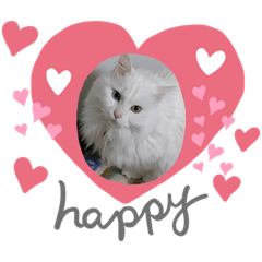 [LINEスタンプ] パラダイスにゃん