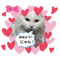 [LINEスタンプ] コメントメッセージ