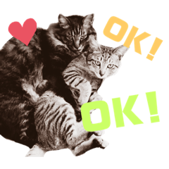 [LINEスタンプ] 井田家の仲間たち