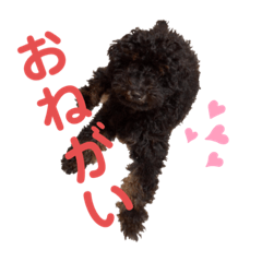 [LINEスタンプ] 仲良し3人家族 ④