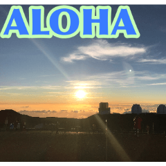 [LINEスタンプ] アロハが止まらない All About Aloha