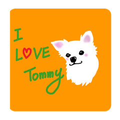 I love tommy 2