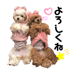 [LINEスタンプ] ぽこもこ♥