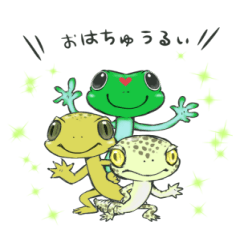 [LINEスタンプ] みどりちゃんと エキゾな仲間たち