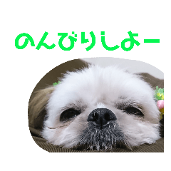 JBくんな毎日②