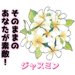 [LINEスタンプ] 運命美容アロマ占いスタンプ Part 3