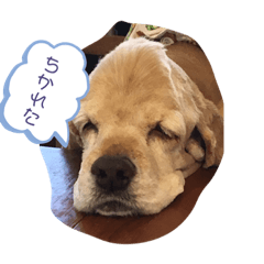 [LINEスタンプ] ニコラ2