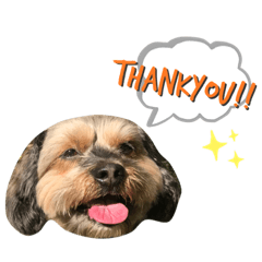 [LINEスタンプ] はちくんすたんぷA