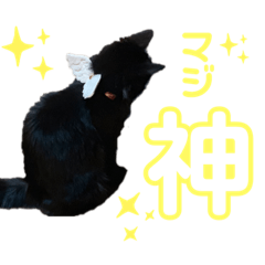 [LINEスタンプ] うにstamp Ver1.0