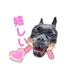 [LINEスタンプ] フレブル♡ココアちゃん♡4