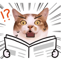 [LINEスタンプ] リトルフラワーキャットミラ実用チャット